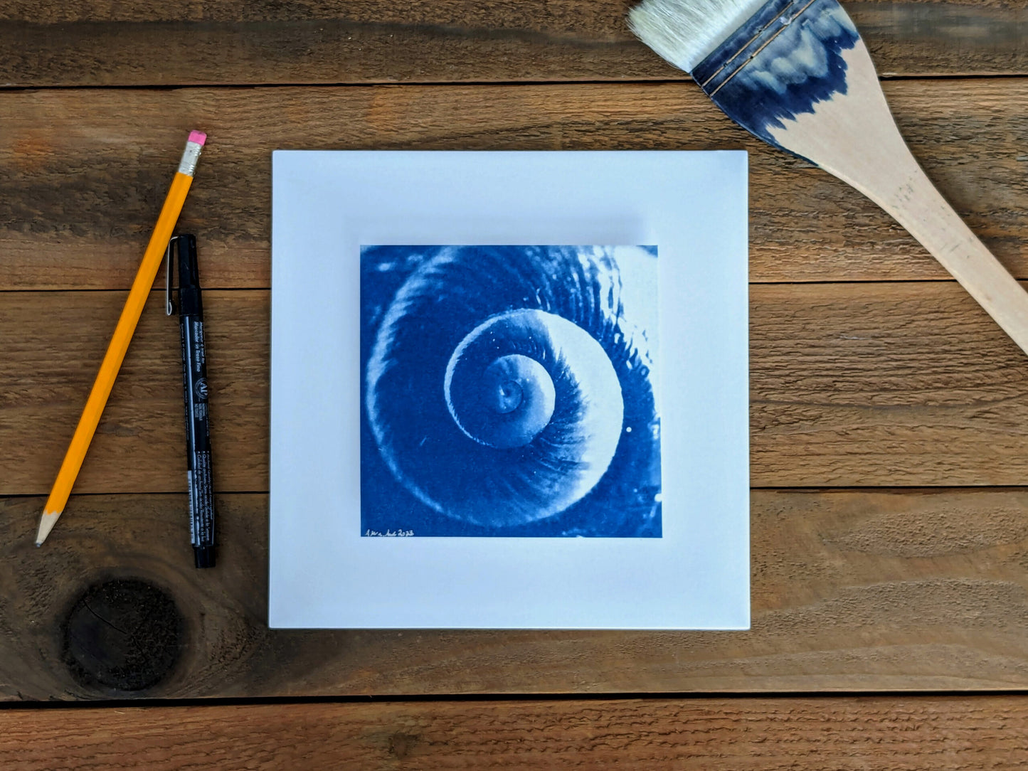 Spiral Snail image 1