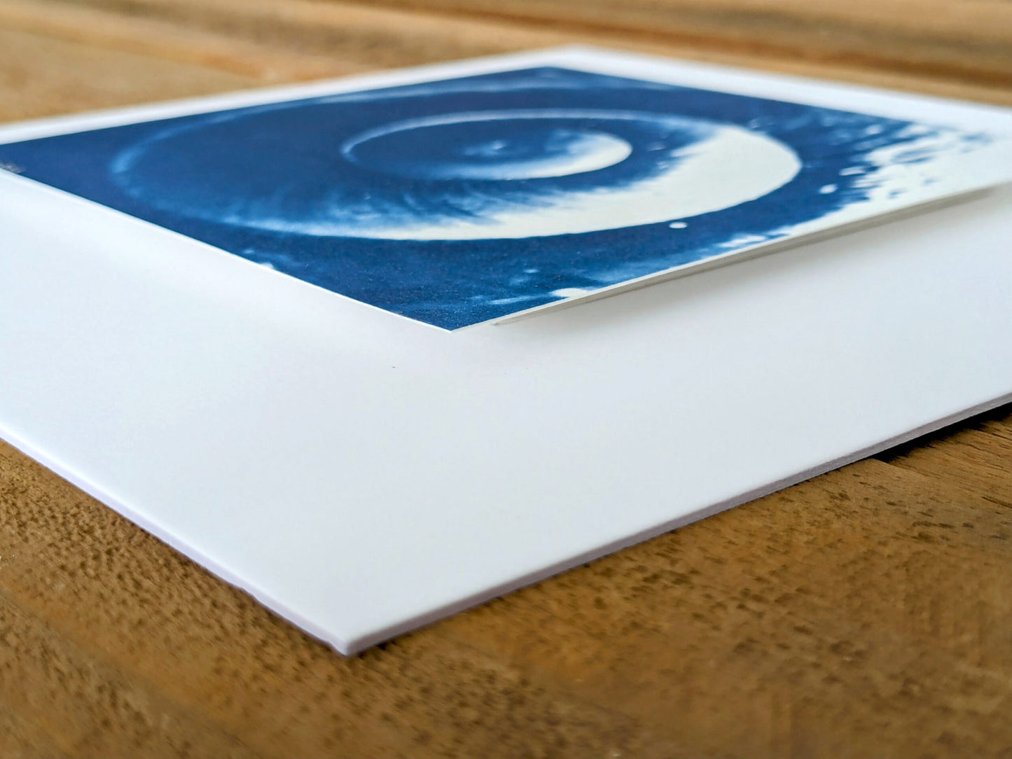 Spiral Snail image 2