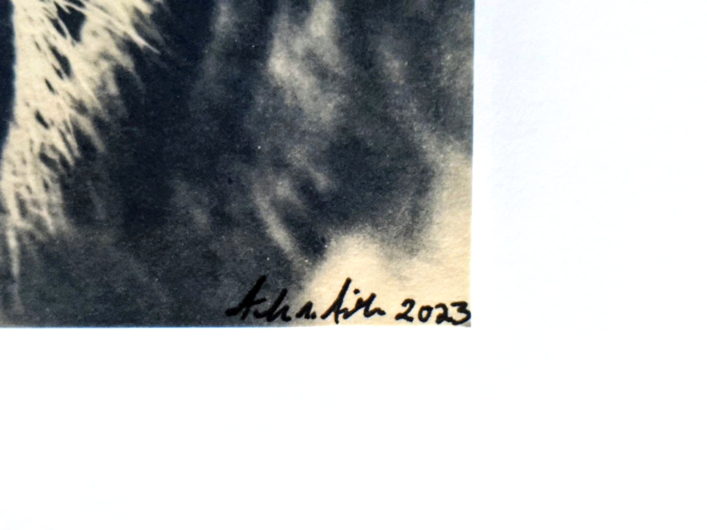 Botanical #4 ( Inverted ) image 3