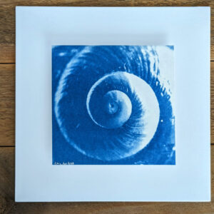 Spiral Snail