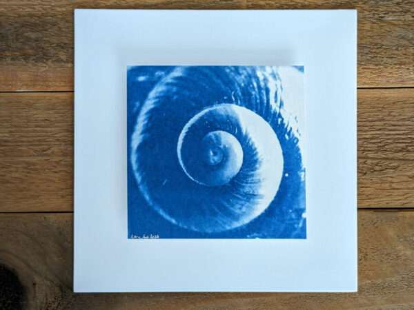 Spiral Snail